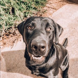 Meet your Posher, Eva